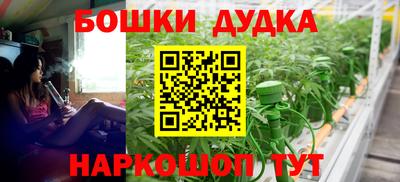 крисы Коммунар
