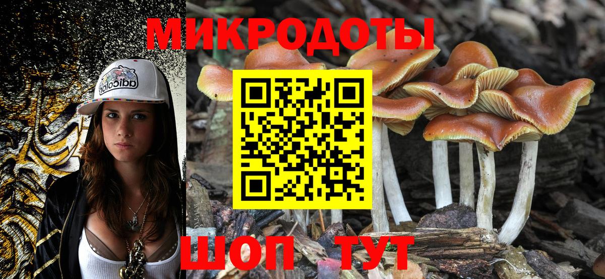 Псилоцибиновые грибы Psilocybine cubensis Красногорск