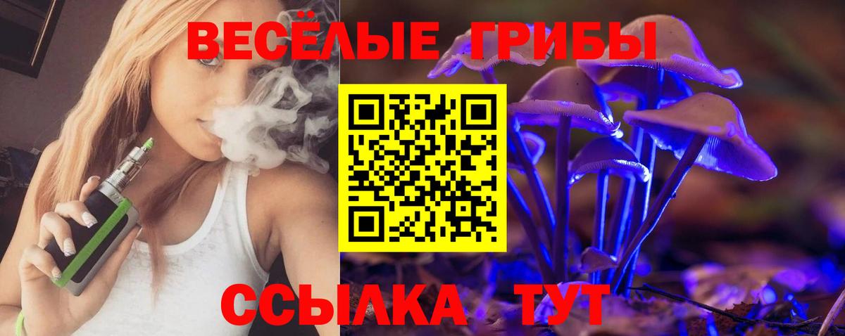 Галлюциногенные грибы Psilocybe  как найти   Красногорск  Вход с VPN 