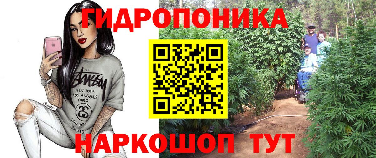 Бошки марихуана марихуана  МАРИХУАНА семена  Вход с VPN  Бошки Шишки семена  Красногорск 